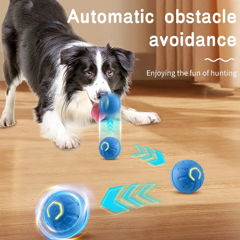Finiks Gravity | Smart Bouncing Interactive Pet Ball | Product image 3
