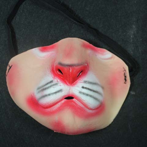 Finiks Gravity | Funny Pet Face Mask – Hilarious Dog Costume & Photo Prop | Product image 16