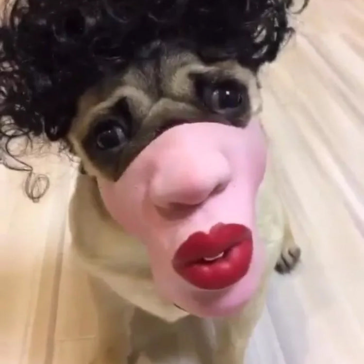 Finiks Gravity | Funny Pet Face Mask – Hilarious Dog Costume & Photo Prop | Product image 4