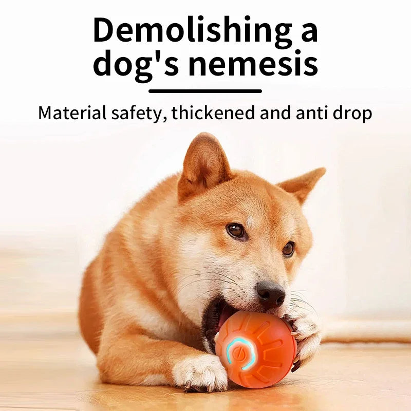 Finiks Gravity | Smart Bouncing Interactive Pet Ball | Product image 2
