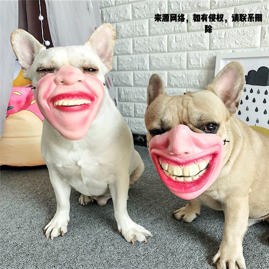 Finiks Gravity | Funny Pet Face Mask – Hilarious Dog Costume & Photo Prop | Product image 1